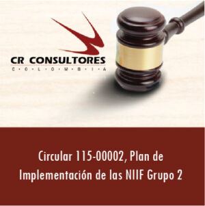 Circular 115-00002, Plan de Implementación de las NIIF Grupo 2