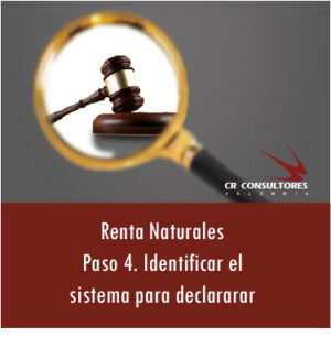 CÓMO IDENTIFICAR EL SISTEMA PARA DECLARAR