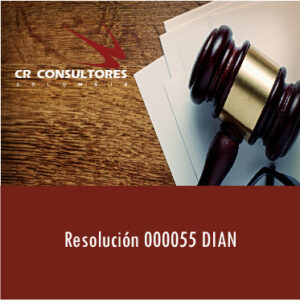 Resolución 000055- DIAN