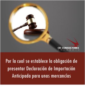 Declaración de Importación Anticipada