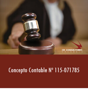 Concepto Contable Nº 115-071785