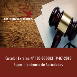 Circular Externa Nº 100-000003 19-07-2018