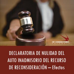DECLARATORIA DE NULIDAD