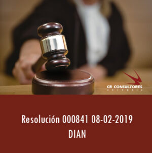 Resolución 000841 08-02-2019 Dian