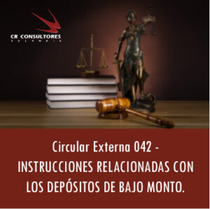 Circular Externa 042 – INSTRUCCIONES RELACIONADAS CON LOS DEPÓSITOS DE BAJO MONTO.