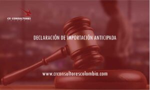 DECLARACIÓN DE IMPORTACIÓN ANTICIPADA