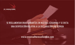 SE REGLAMENTAN UNAS GARANTÍAS EN MATERIA ADUANERA Y SE DICTA UNA DISPOSICIÓN RELATIVA A LA DECLARACIÓN ANTICIPADA