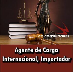 Agente de Carga Internacional, Importador