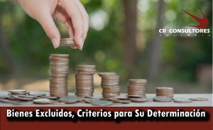 Bienes Excluidos, Criterios para Su Determinación