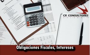 Obligaciones Fiscales, Intereses