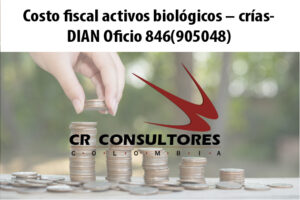 Costo fiscal activos biológicos – crías- DIAN Oficio 846(905048)