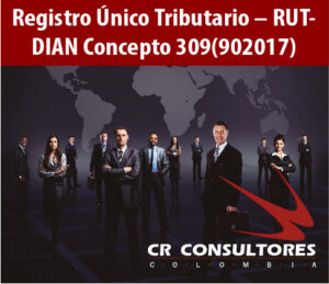 Registro Único Tributario – RUT- DIAN Concepto 309(902017)