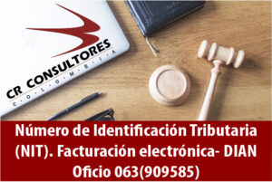 Número de Identificación Tributaria (NIT). Facturación electrónica- DIAN Oficio 063(909585)
