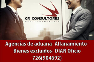 Agencias de aduana – Allanamiento – Bienes excluidos- DIAN Oficio 726(904692)