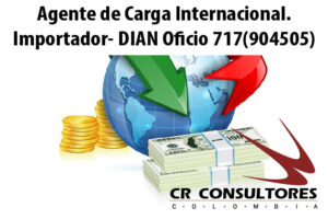 Agente de Carga Internacional. Importador- DIAN Oficio 717(904505)
