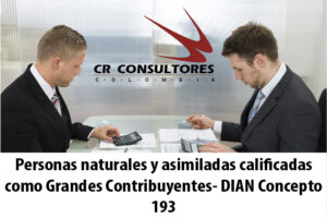 Personas naturales y asimiladas calificadas como Grandes Contribuyentes- DIAN Concepto 193