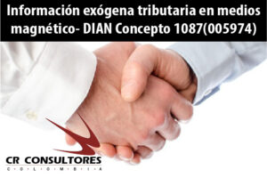 Información exógena tributaria en medios magnético- DIAN Concepto 1087(005974)