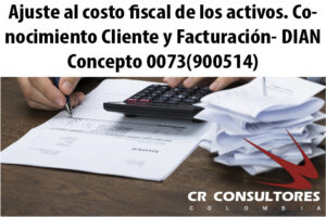 Ajuste al costo fiscal de los activos. Conocimiento Cliente y Facturación- DIAN Concepto 0073(900514)