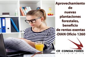 Aprovechamiento de nuevas plantaciones forestales, beneficio de rentas exentas-DIAN Oficio 1260