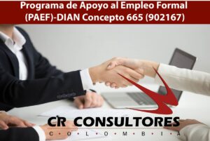 Programa de Apoyo al Empleo Formal (PAEF)-DIAN Concepto 665 (902167)