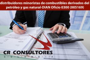 distribuidores minoristas de combustibles derivados del petróleo y gas natural-DIAN Oficio 0300 (005169)