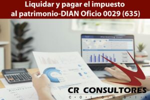 Liquidar y pagar el impuesto al patrimonio-DIAN Oficio 0029 (635)