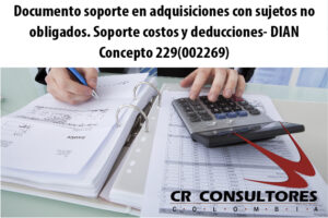 Documento soporte en adquisiciones con sujetos no obligados. Soporte costos y deducciones- DIAN Concepto 229(002269)