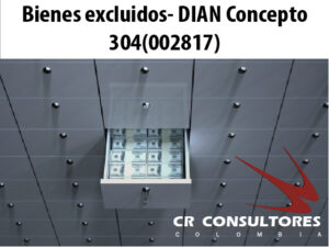 Bienes excluidos- DIAN Concepto 304(002817)