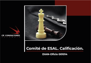 Comité de ESAL. Calificación. DIAN-Oficio 001014