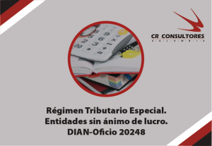 Régimen Tributario Especial. Entidades sin ánimo de lucro. DIAN-Oficio 20248