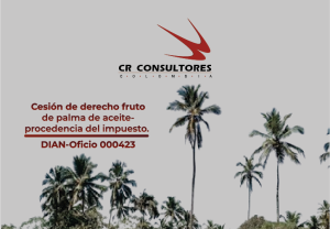 Cesión de derecho fruto de palma de aceite-procedencia del impuesto. DIAN-Oficio 000423