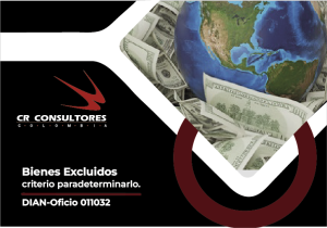 Bienes Excluidos, criterio par determinarlo. DIAN-Oficio 011032