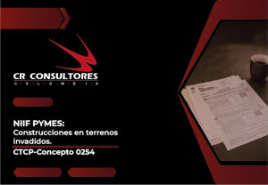 NIIF PYMES: Construcciones en terrenos invadidos. CTCP-Concepto 0254