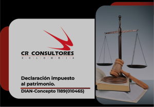 Declaración impuesto al patrimonio. DIAN-Concepto 1189(010465)