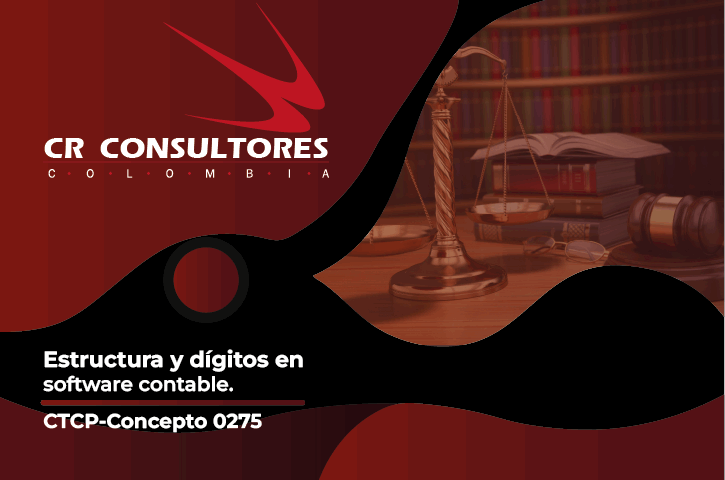 Estructura y dígitos en software contable. CTCP-Concepto 0275