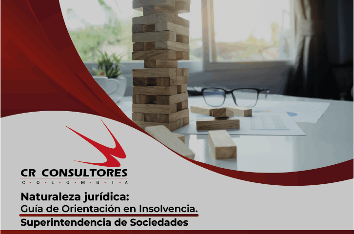 Naturaleza jurídica: Guía de Orientación en Insolvencia. Superintendencia de Sociedades
