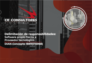 Delimitación de responsabilidades: Software propio frente a Proveedor tecnológico. DIAN-Concepto 1889(015968)