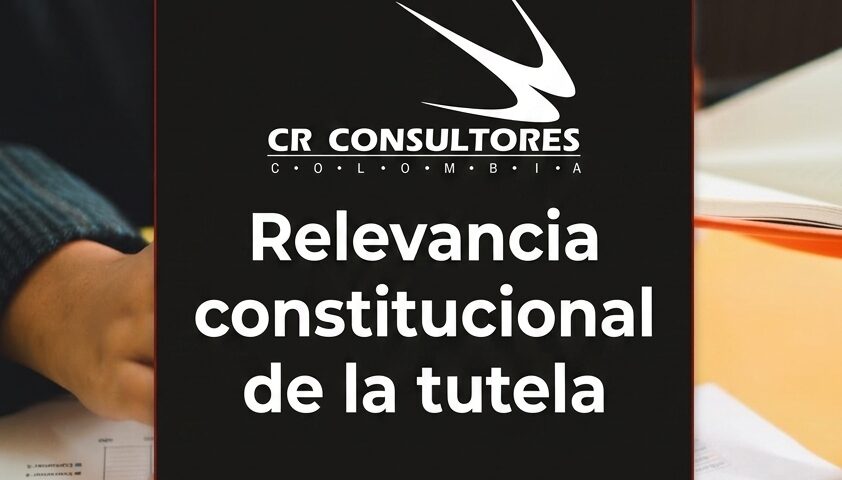 Relevancia constitucional de la tutela