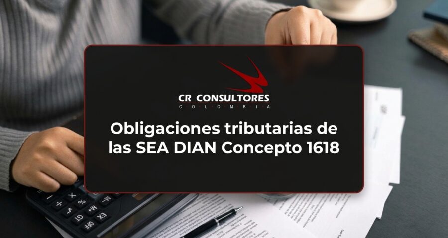 Obligaciones tributarias de las SEA DIAN Concepto 1618