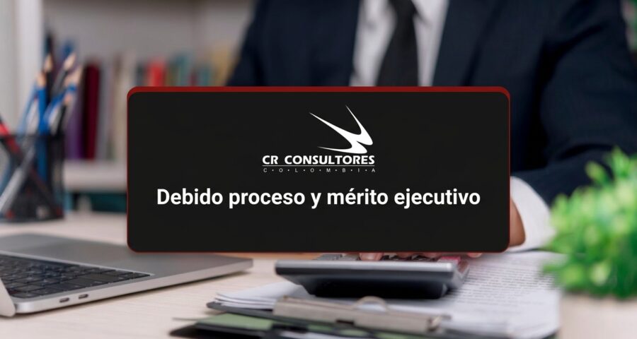 Debido proceso y mérito ejecutivo