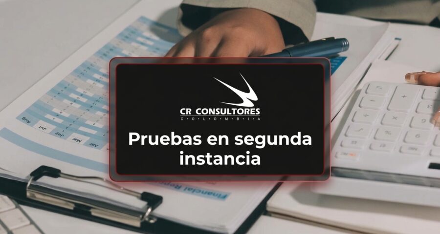 Pruebas en segunda instancia